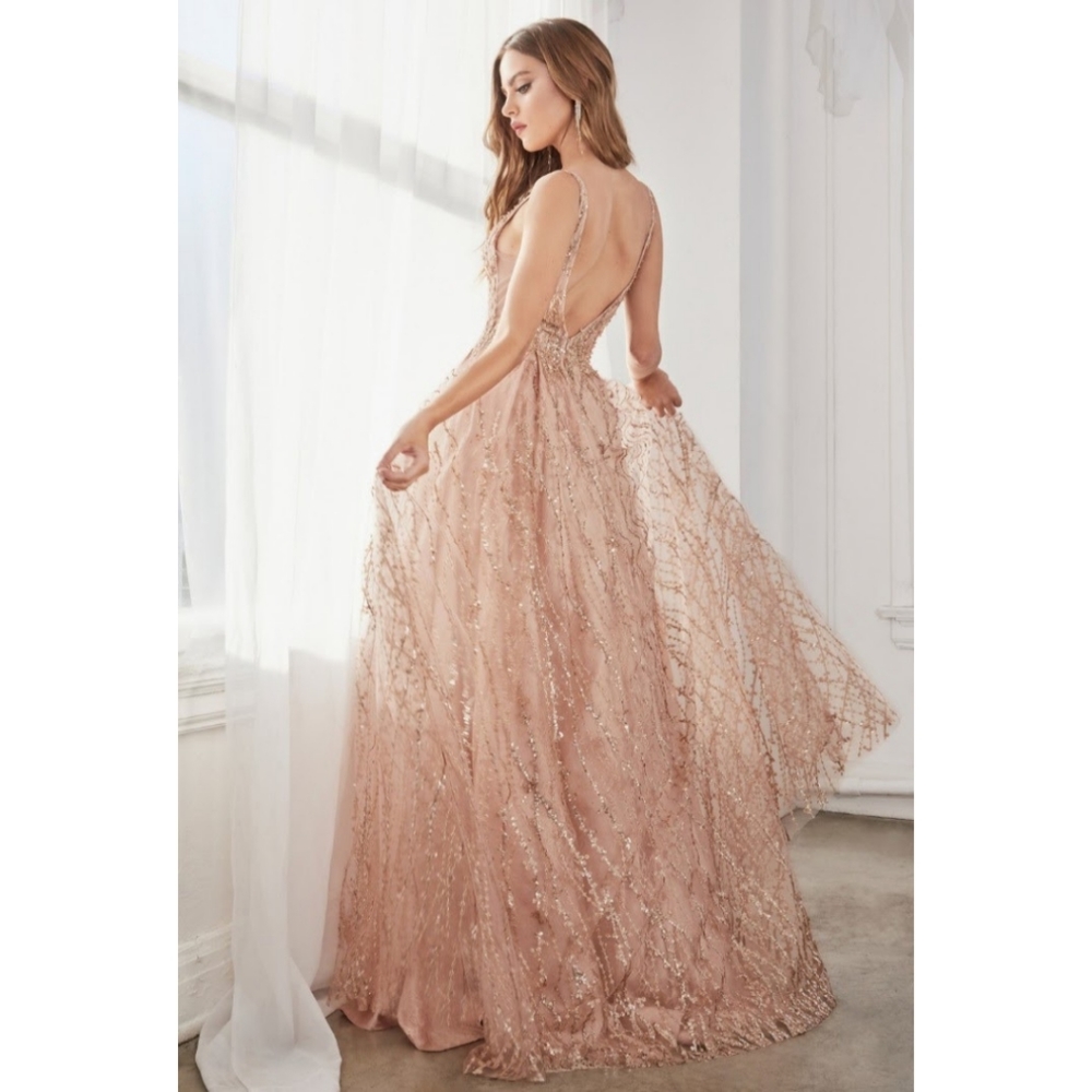 Cinderella Divine C32 Dress - Picture 2 of 2